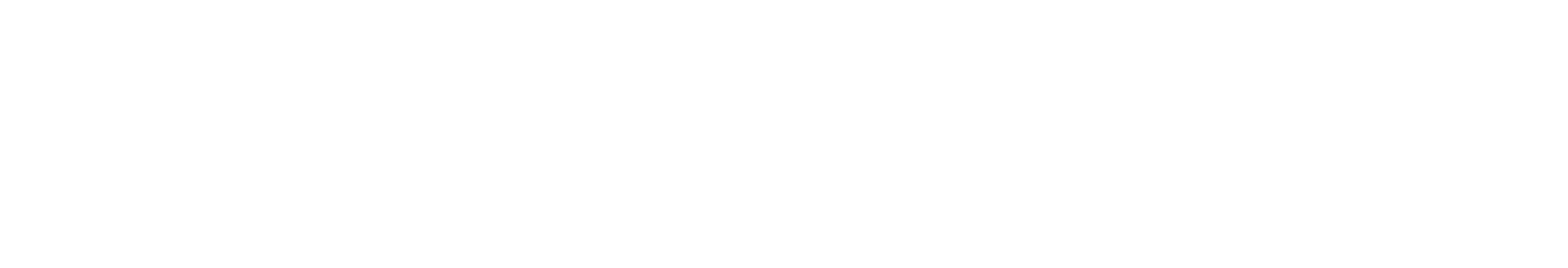 Asset 40@300x